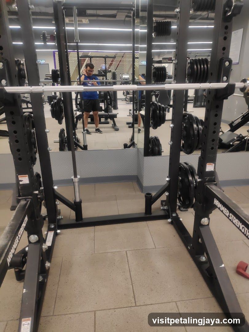 Gym Interior with Squat Rack