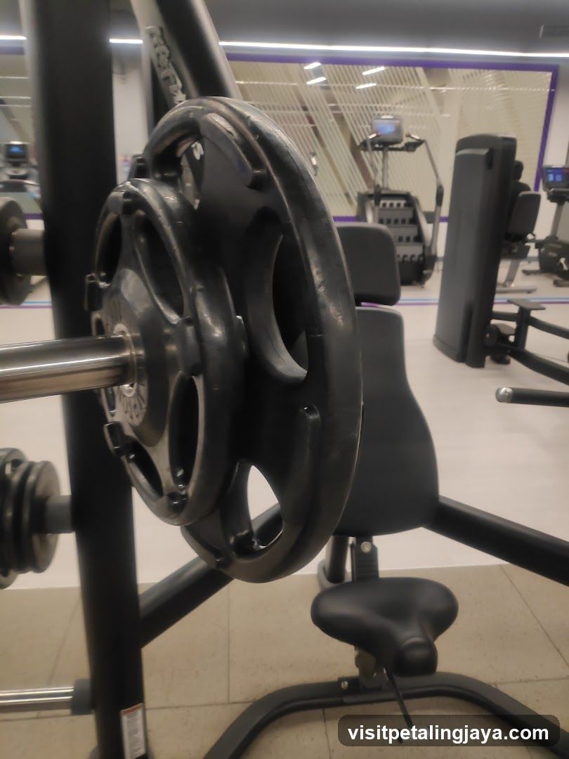 Gym Interior with Weight Plate