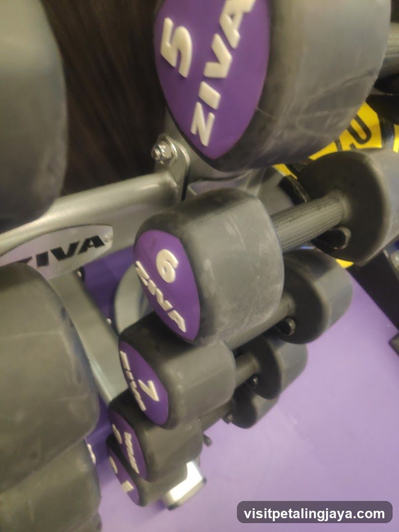 Dumbbells on Rack