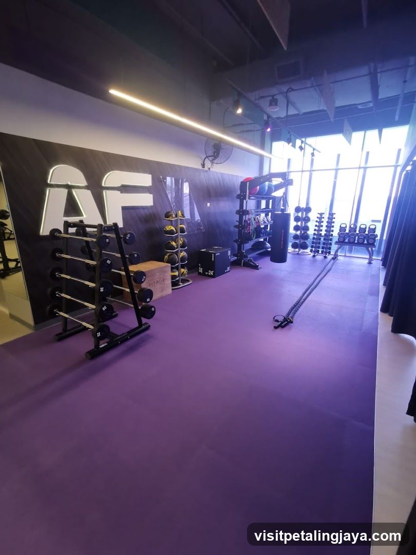 Gym Interior with Equipment
