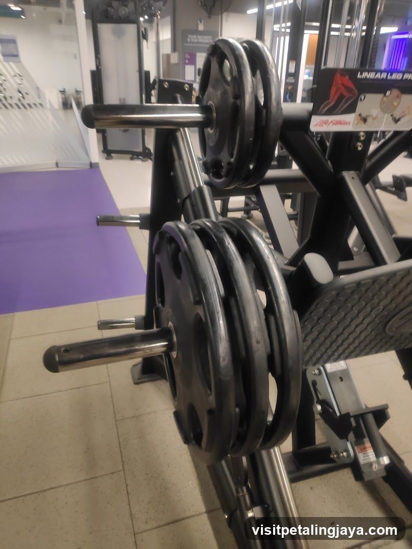 Gym Equipment Rack with Weights