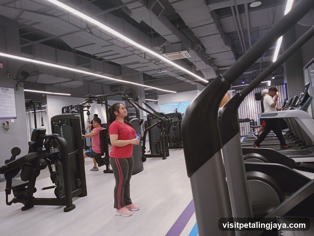 Gym Interior Scene