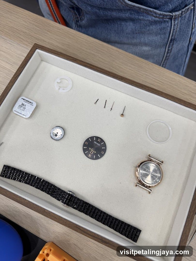 Watch Parts Display