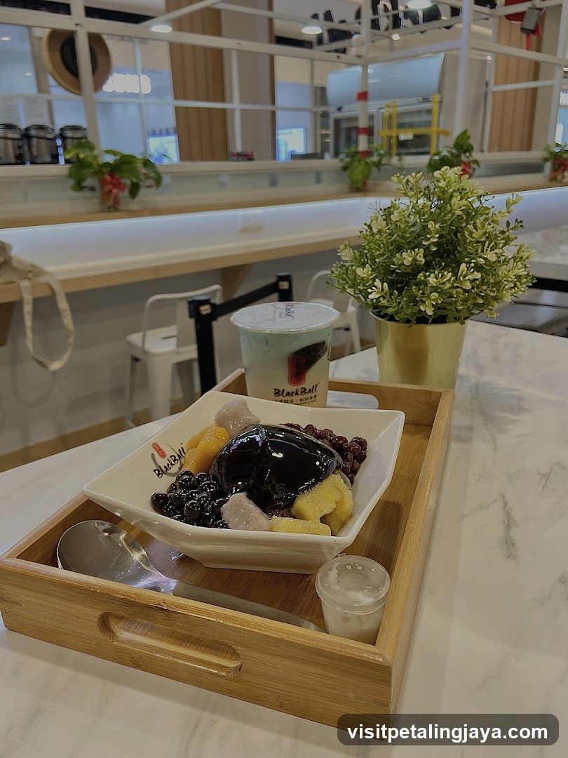 Dessert Bowl with Black and White Ice Cream