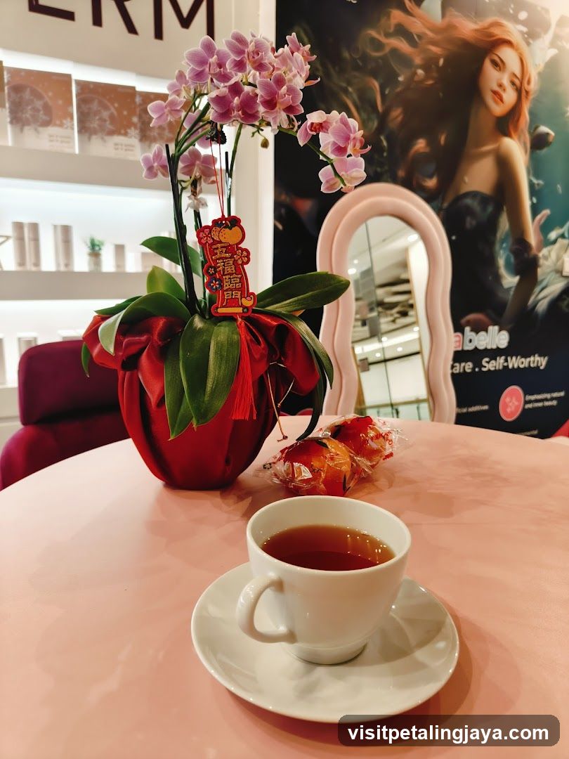 Indoor Tea and Orchid Display