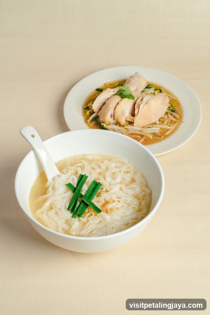 Chicken Noodle Soup with Chicken and Bean Sprouts
