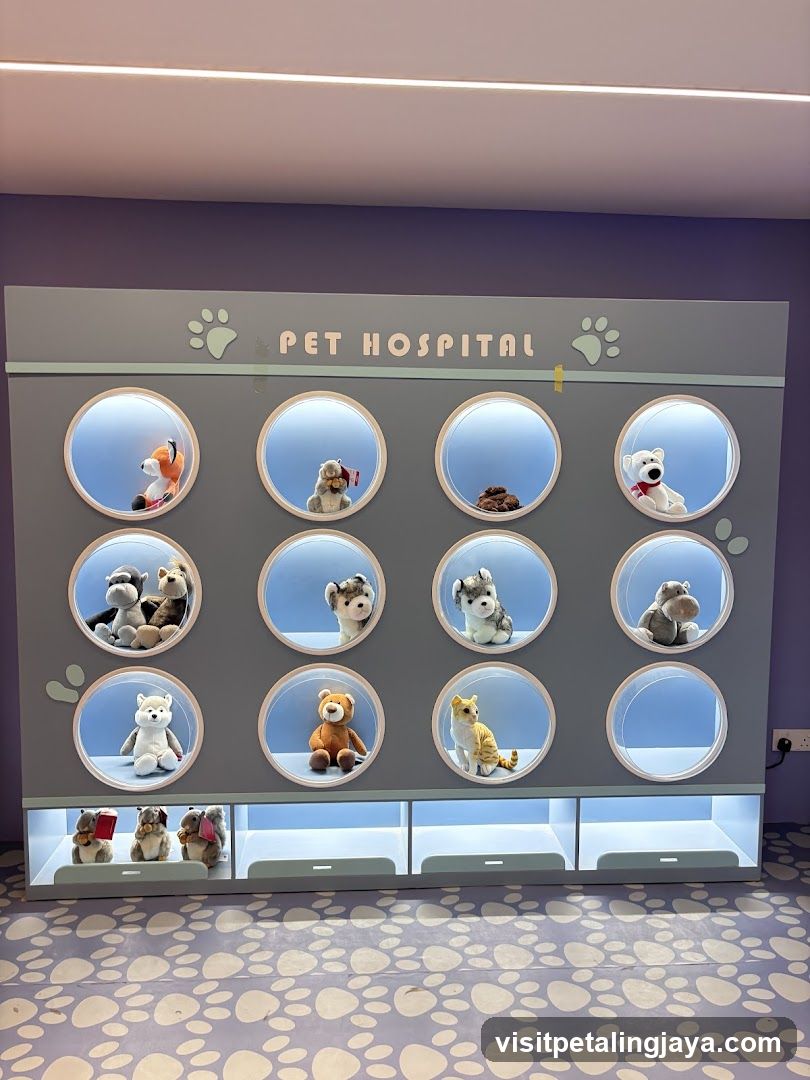 Pet Hospital Display Wall