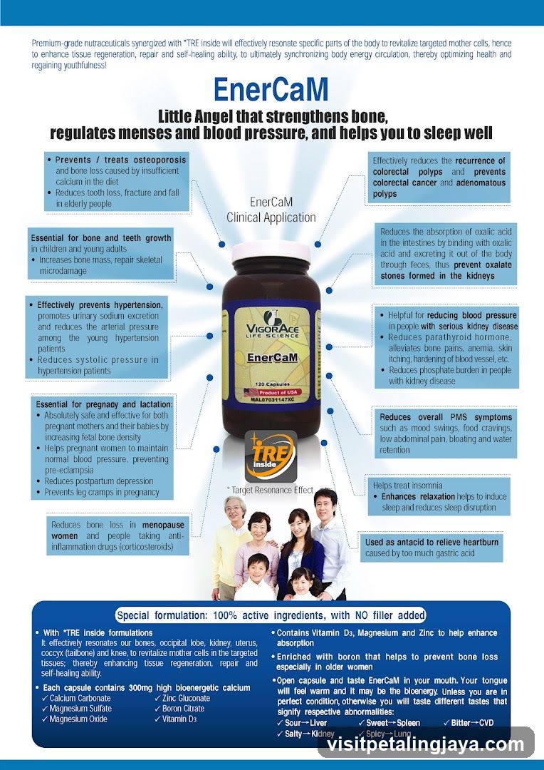 EnerCam Infographic