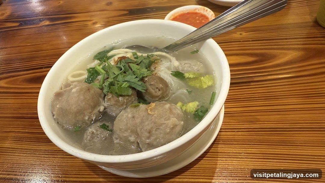 Bowl of Meatball Noodle Soup