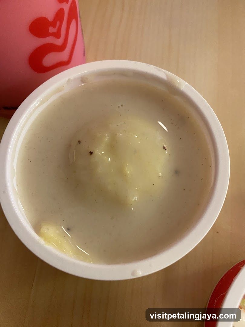 Bowl of creamy soup with ice cream