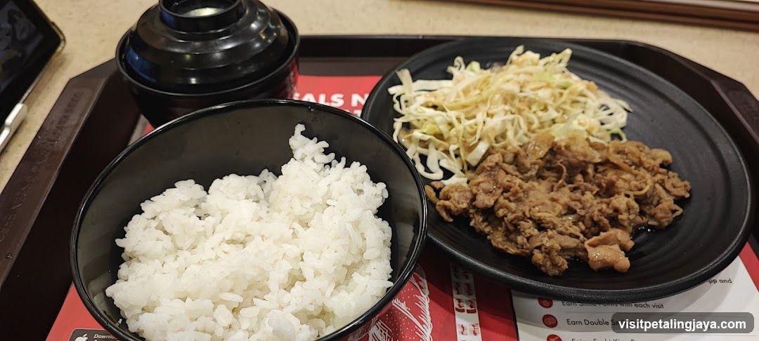Bowl of rice with meat and shredded cabbage on a tray