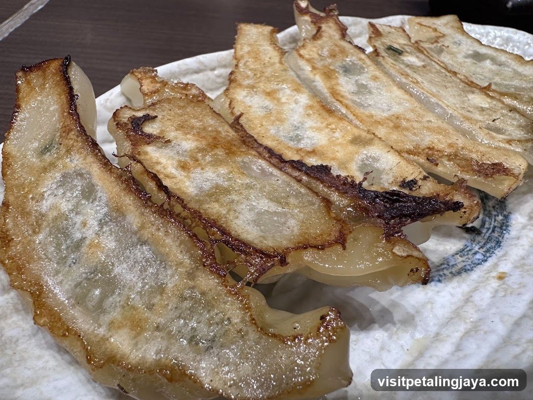 Gyoza on a plate