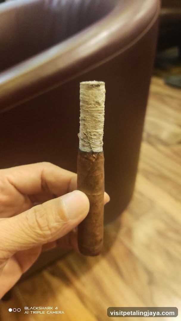 Cigar held in hand