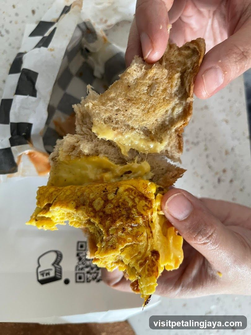 Cheese Sandwich Break