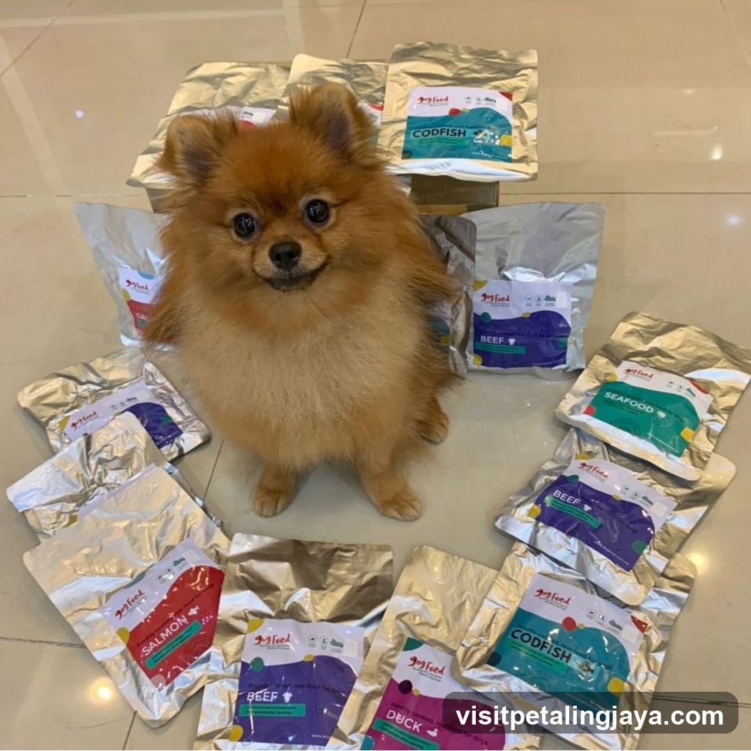 Dog surrounded by pet food packages
