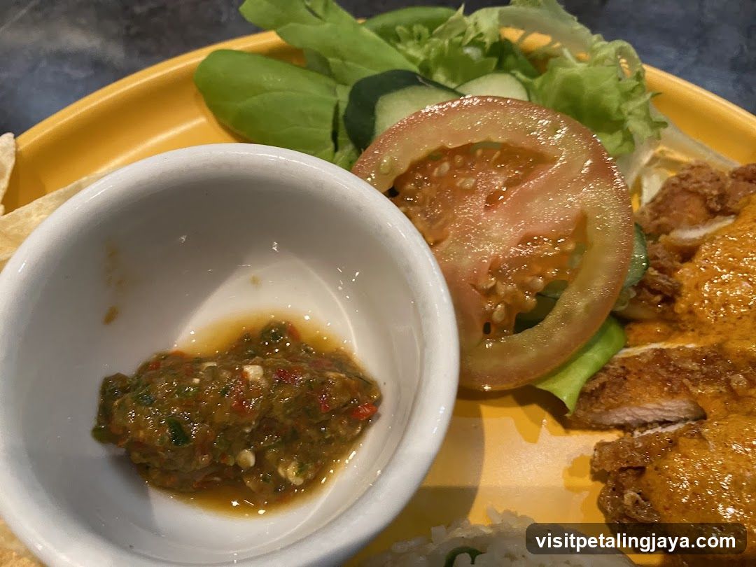 Fried Chicken with Salad and Sauce