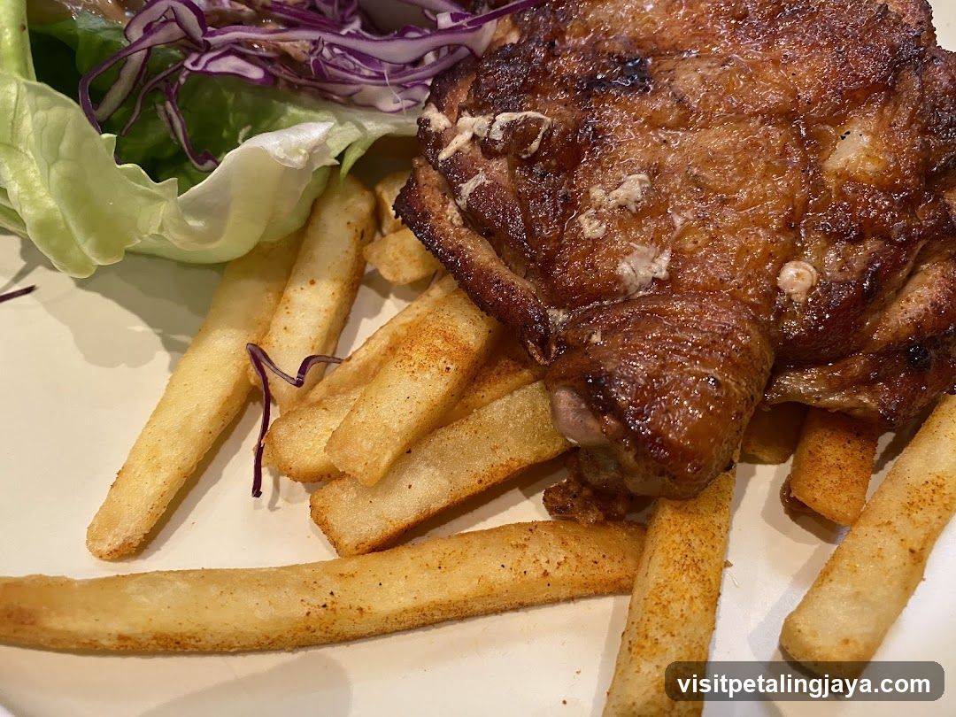 Grilled Chicken with Fries and Salad
