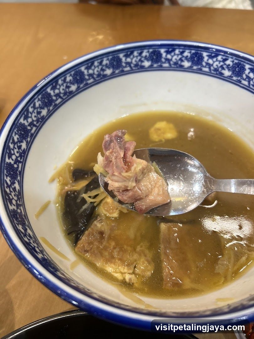 Bowl of Soup with Meat and Vegetables