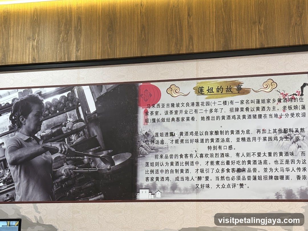 Lian Jie's Story (莲姐的故事)