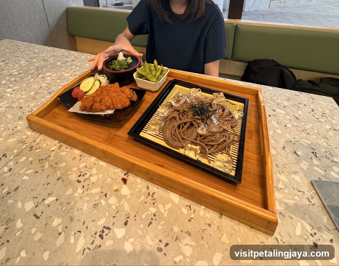 Soba Noodle Meal with Katsu