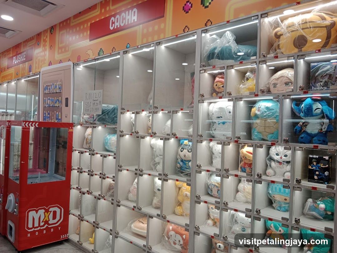 Cacha Toy Store Interior