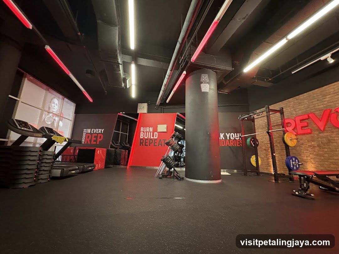 Gym Interior with Equipment and Branding