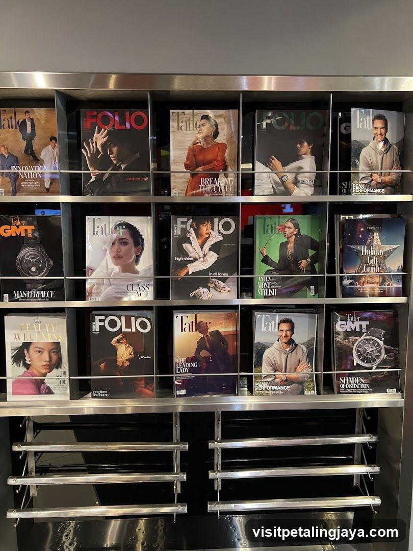 Magazine Display Shelf