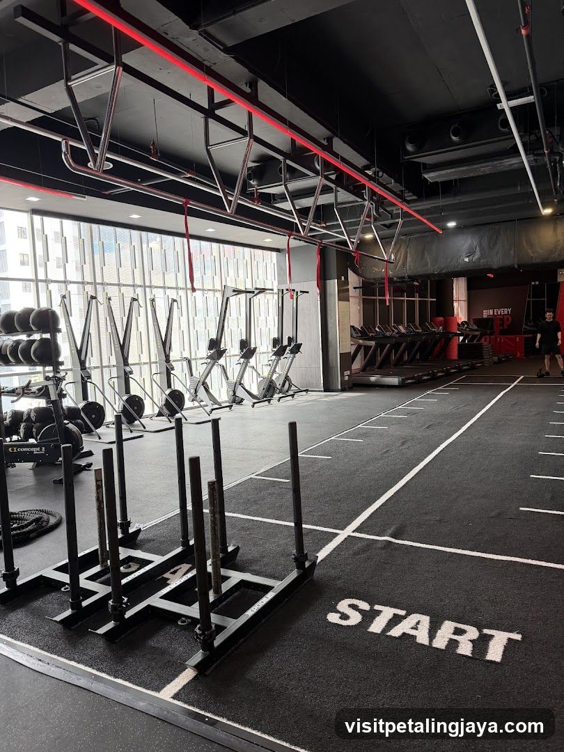 Gym Interior with Cross Training Equipment