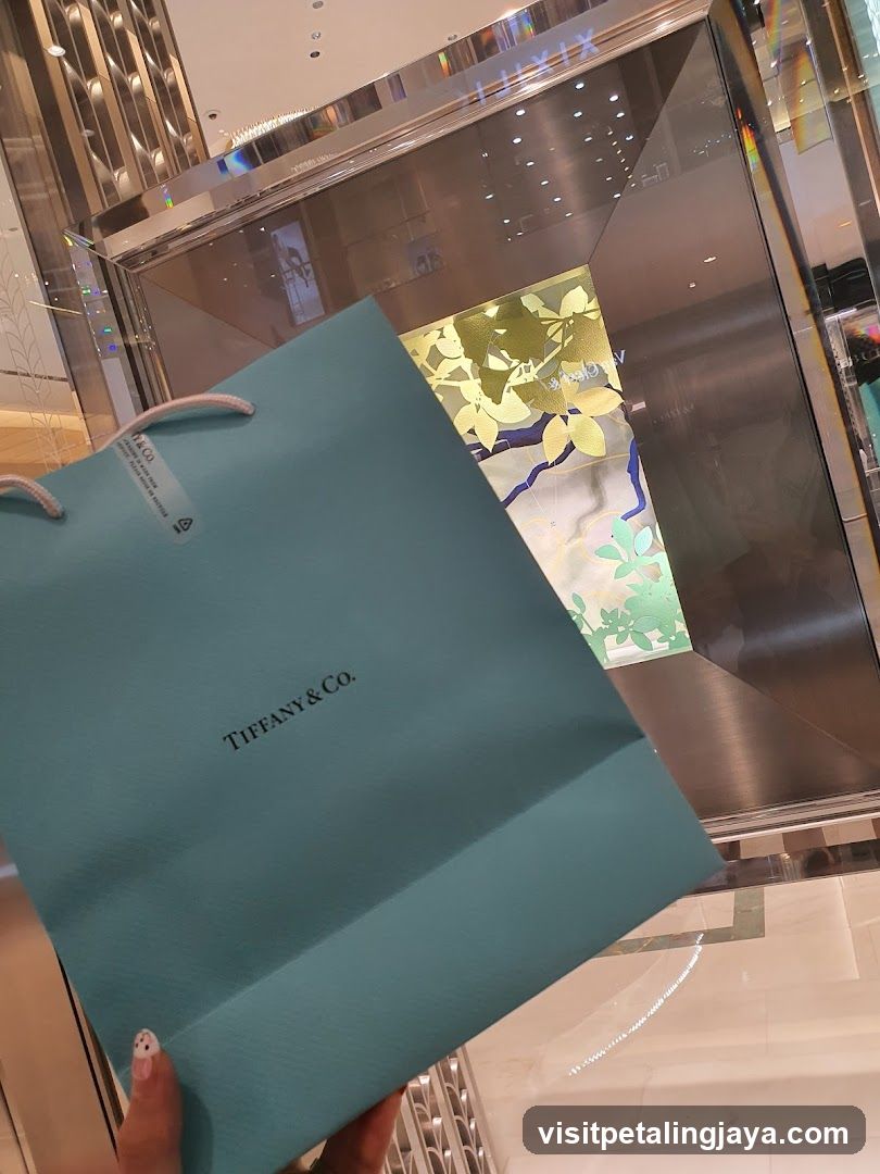 Tiffany & Co. Shopping Bag