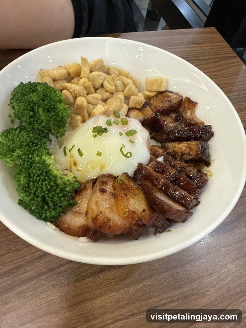 Bowl of Rice with Broccoli, Fried Dough, and Meat