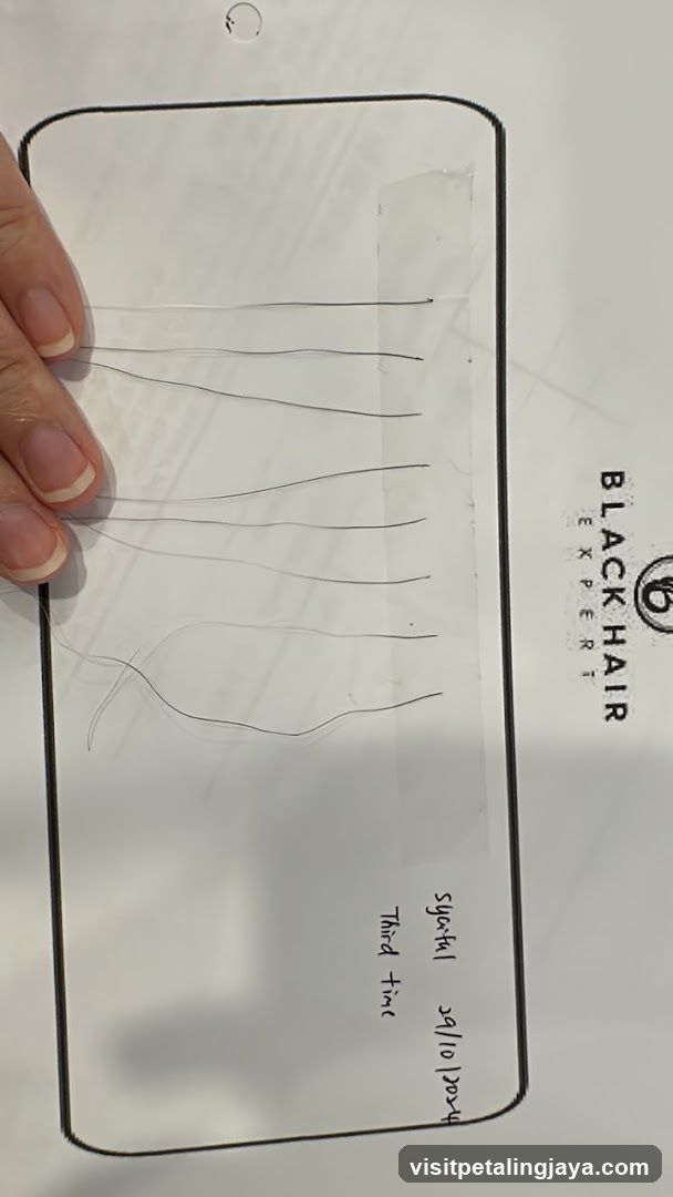 Hair Sample Display Card