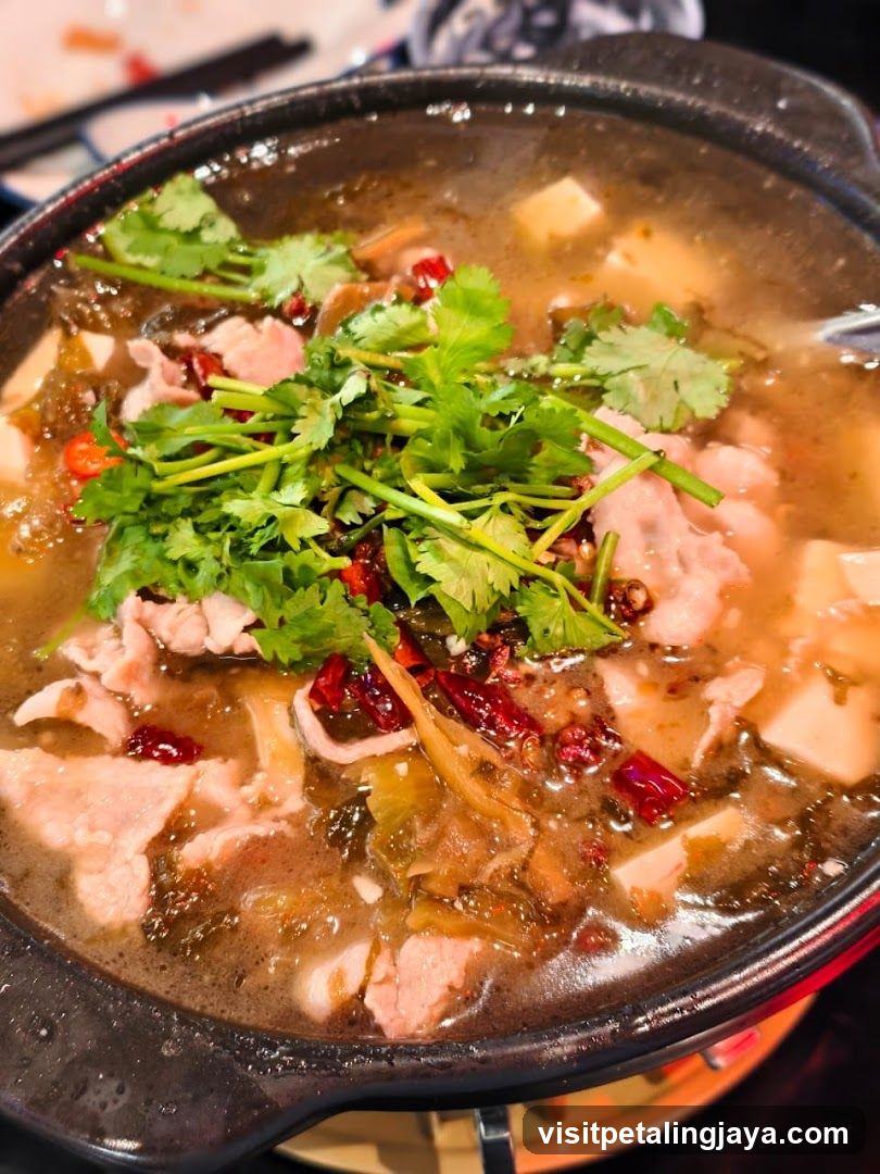Spicy Hot Pot with Tofu and Meat