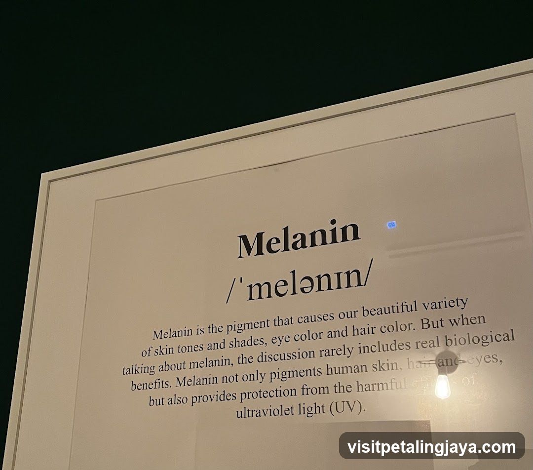 Melanin Information Panel