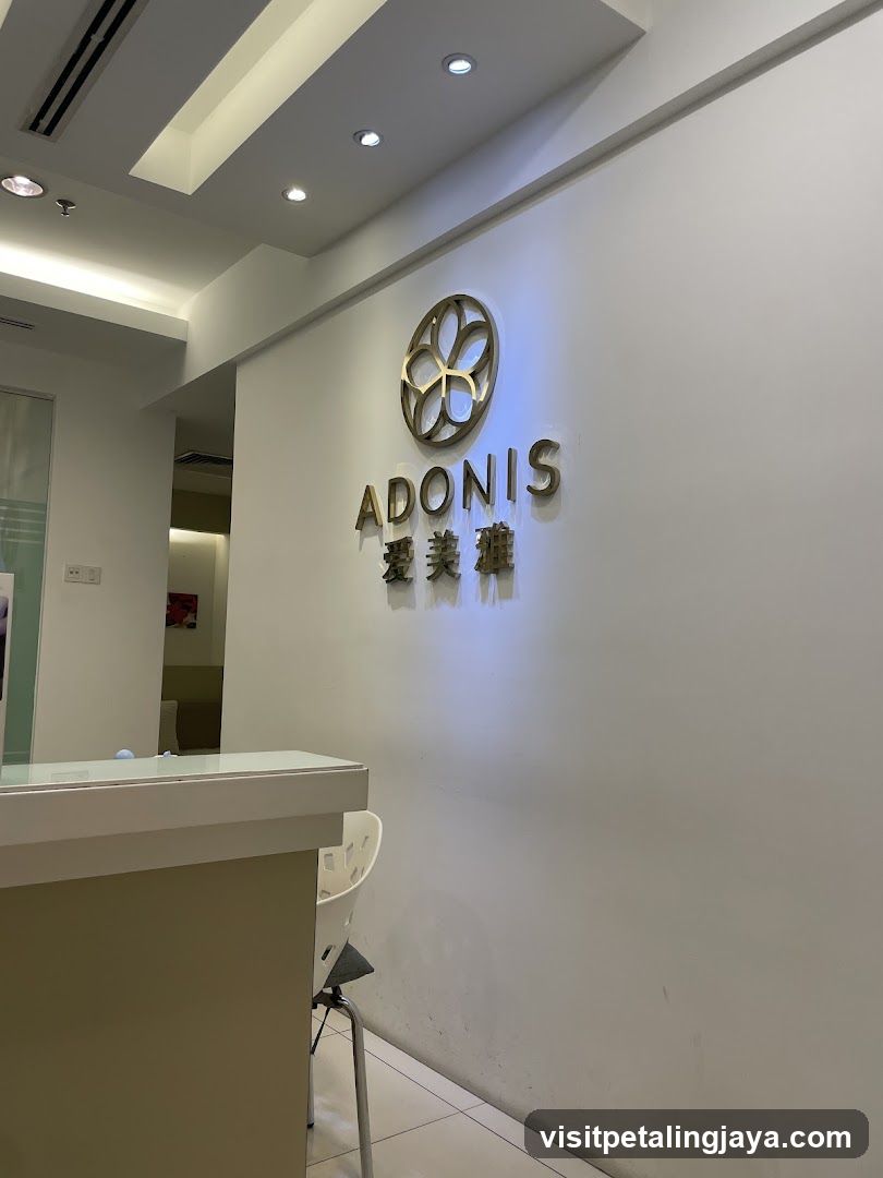 ADONIS Interior View