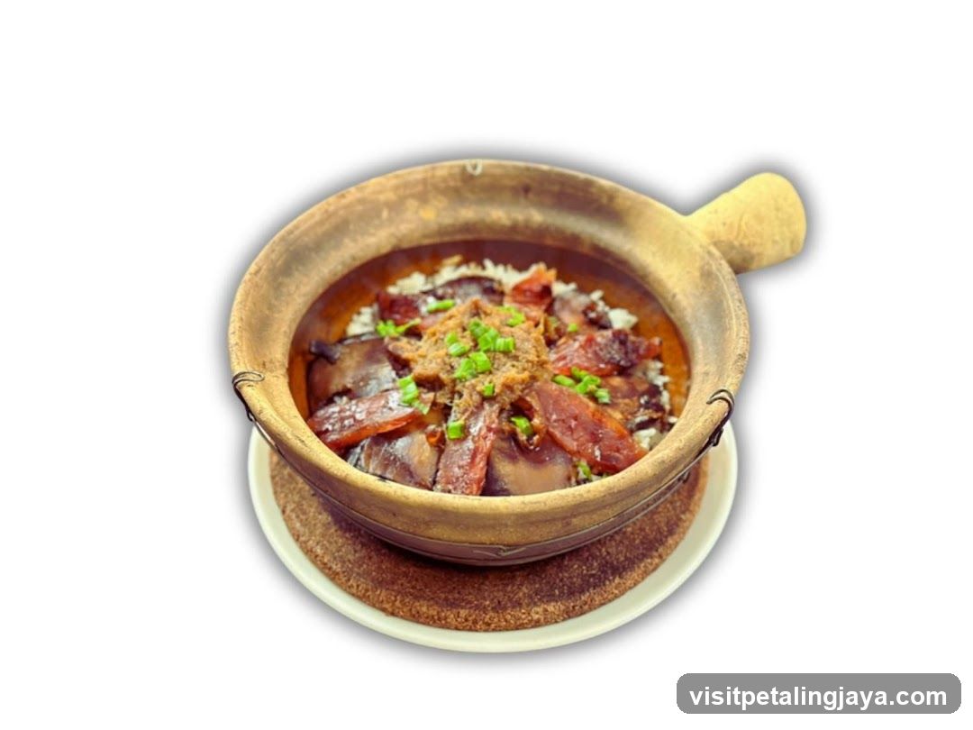 Cantonese-style Claypot Rice with Braised Pork