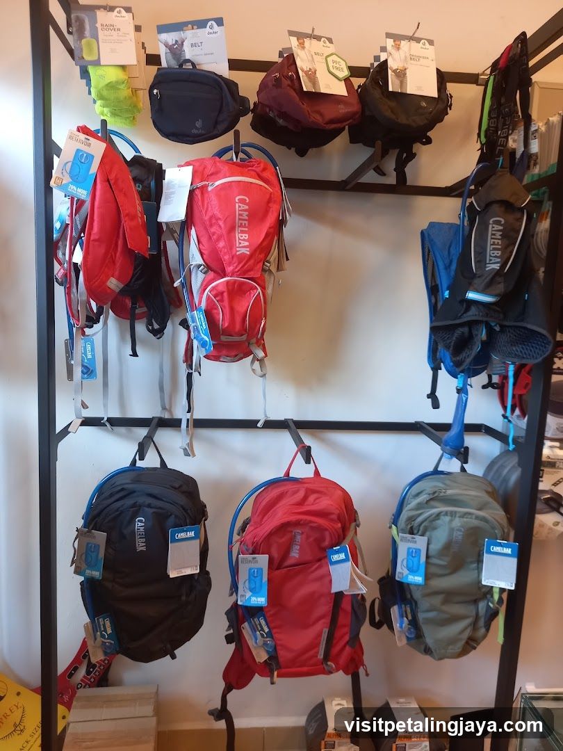 Outdoor Gear Display