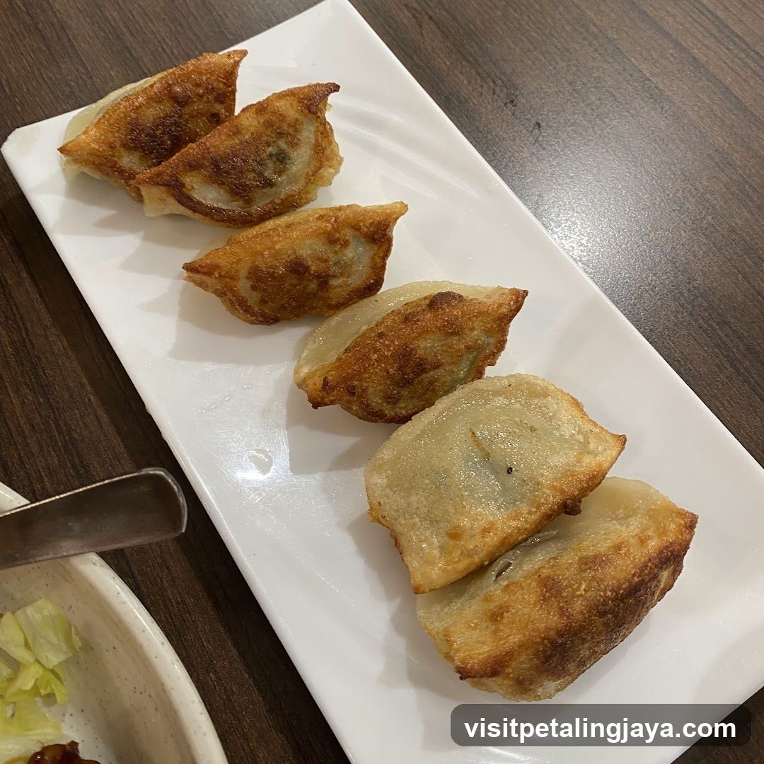 Pan-Fried Dumplings on a White Plate