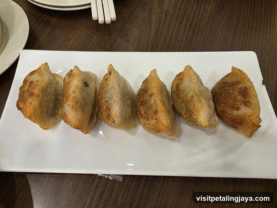Gyoza on a white plate