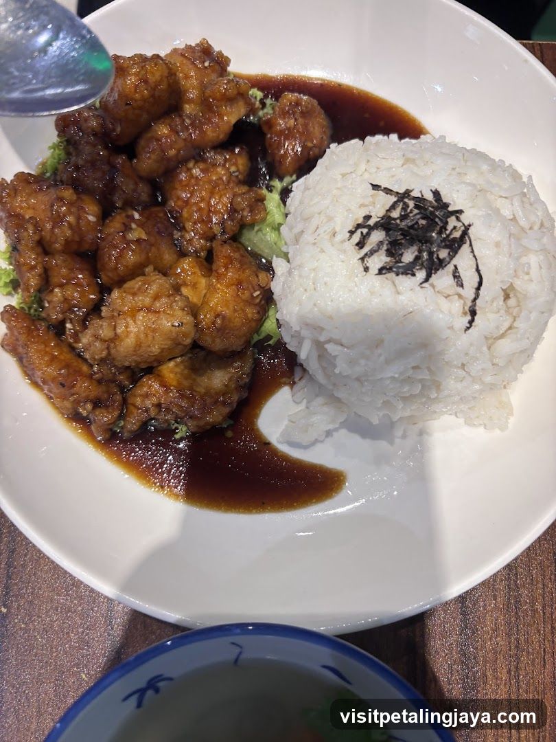 Fried Chicken with Rice Bowl