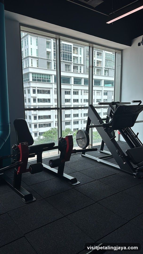 Gym Interior with Window View
