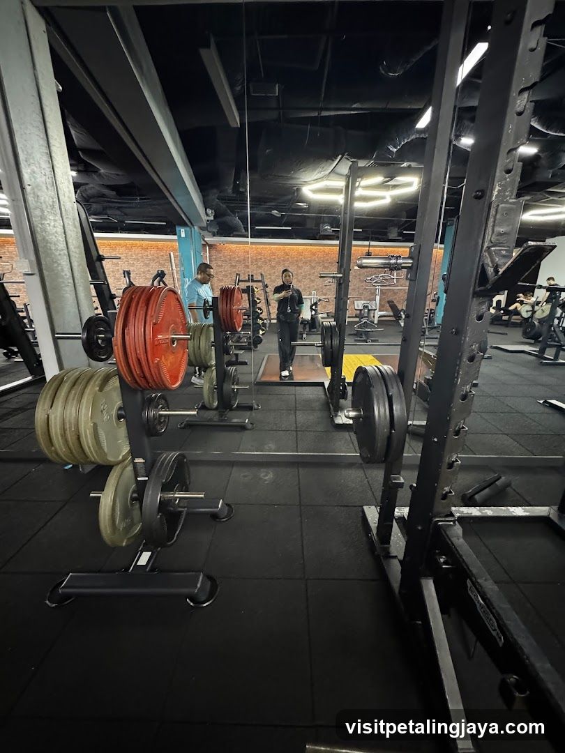 Gym Interior with Weight Lifting Equipment