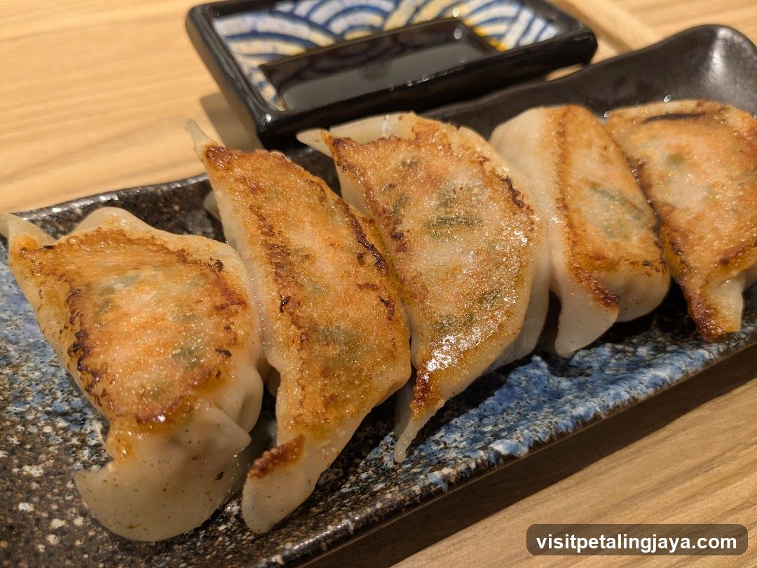 Gyoza on a speckled plate