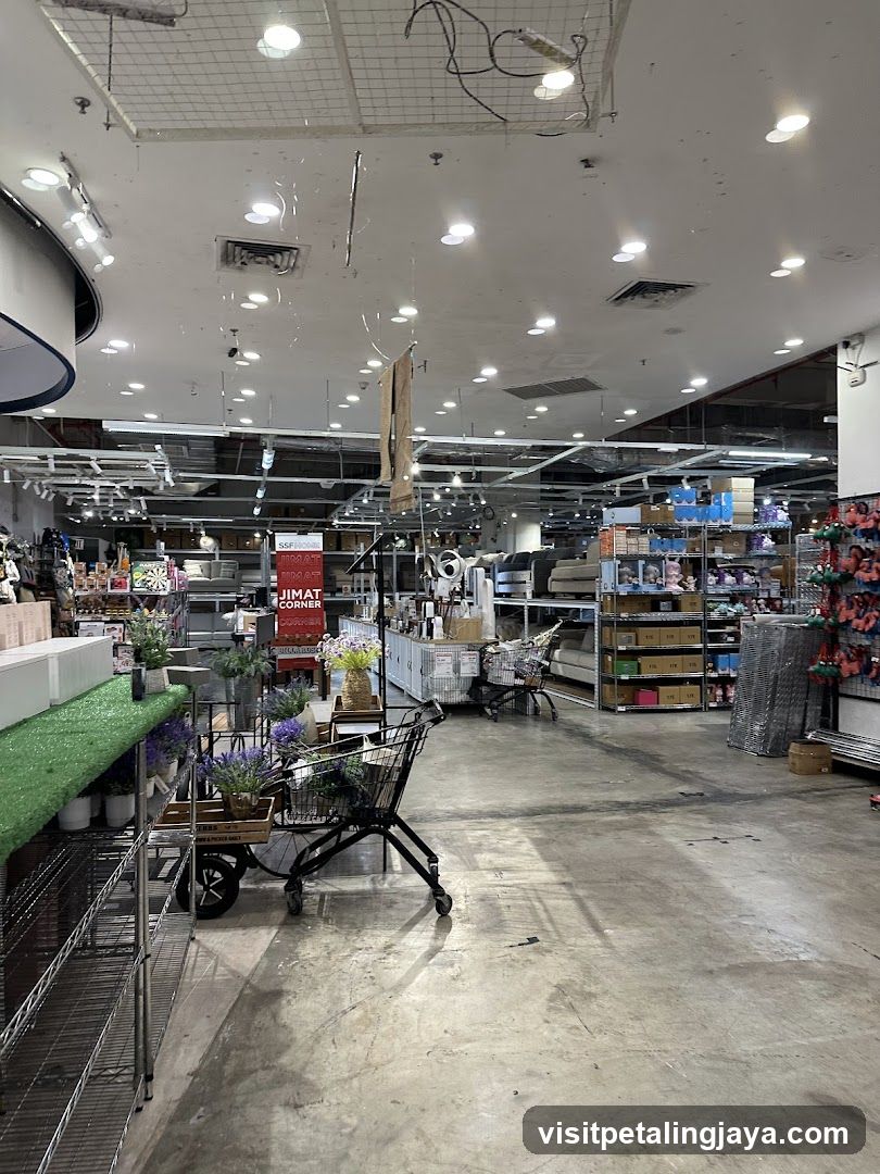 Interior of a retail store with shelves and products