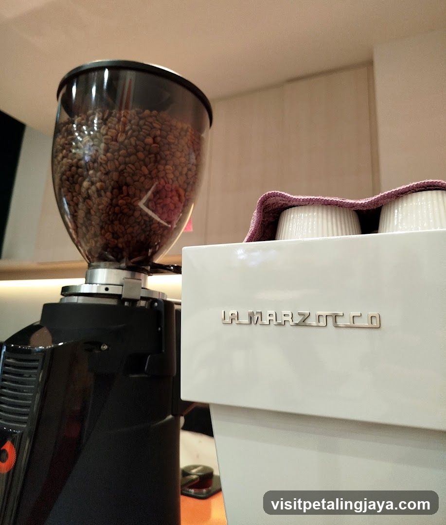 Coffee Equipment Setup
