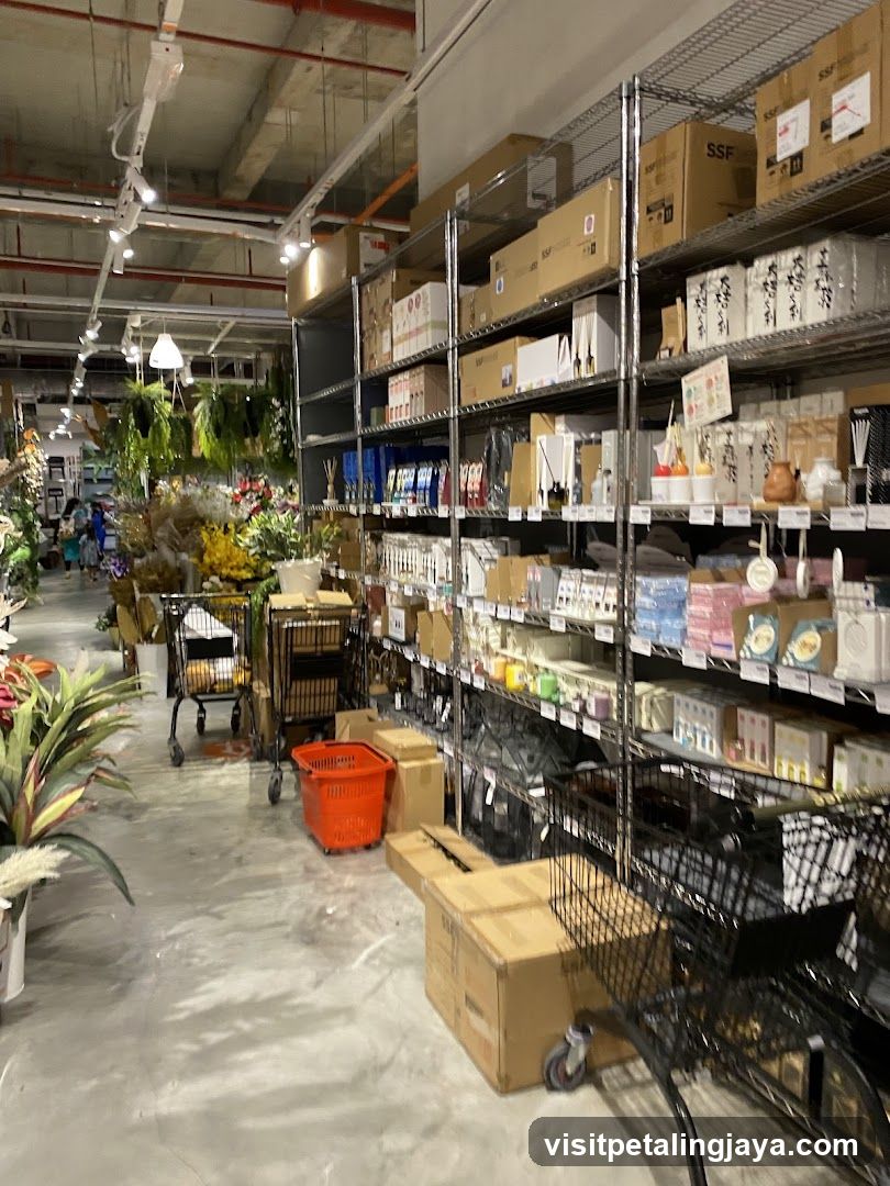 Interior of a retail store with shelves and plants