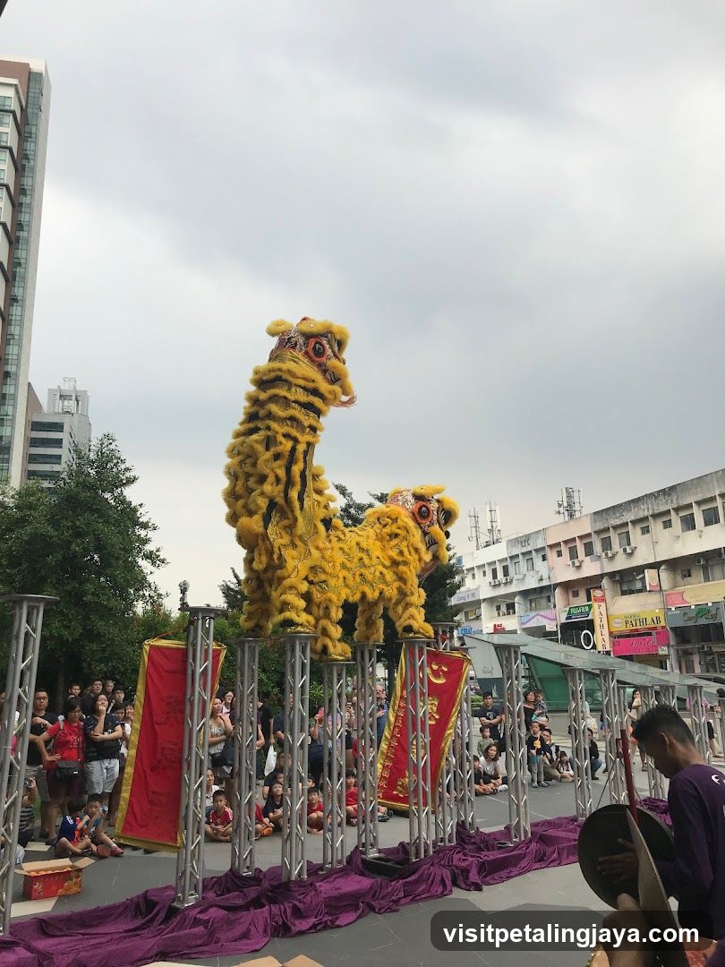 Lion Dance Performance