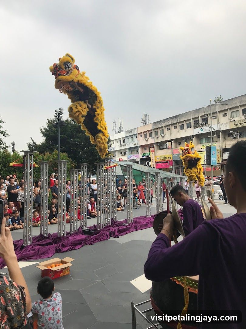 Lion Dance Performance