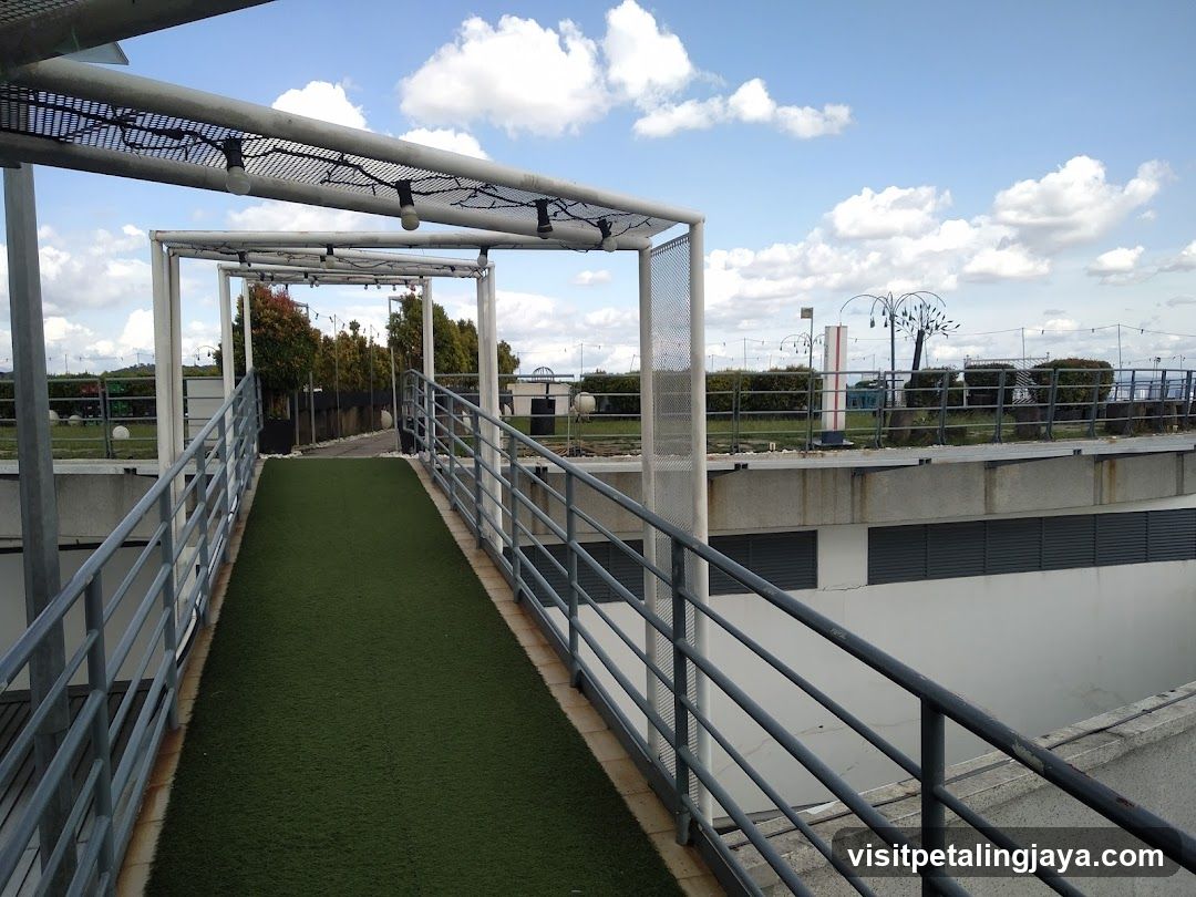 Outdoor Walkway with Artificial Turf