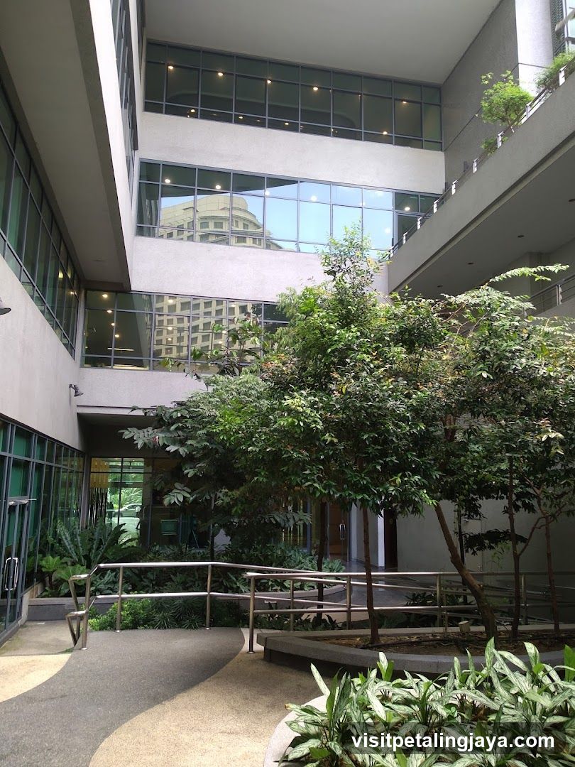 Building Courtyard with Greenery