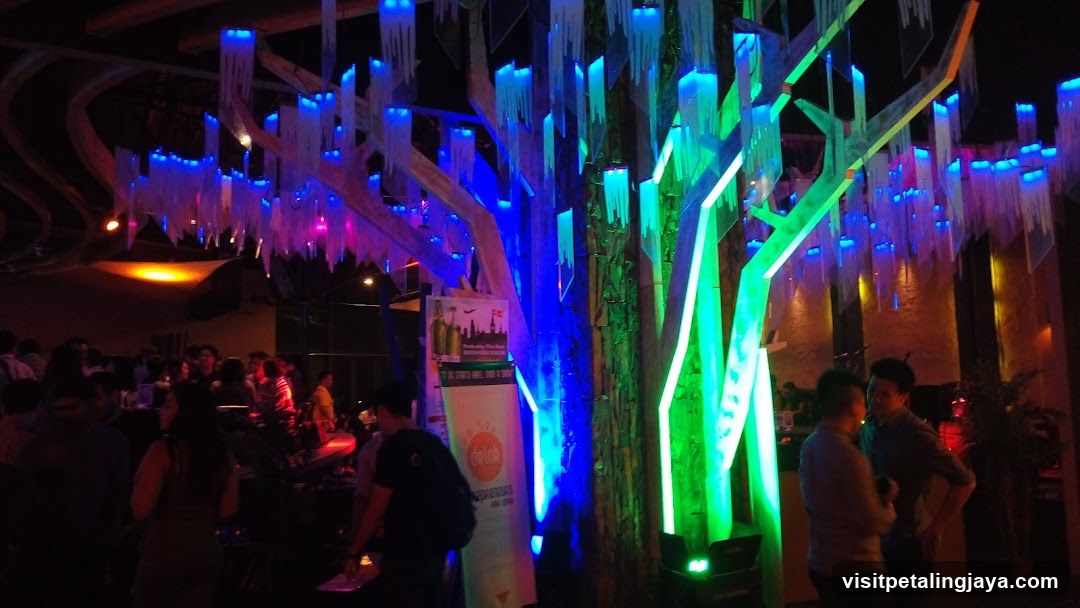 Illuminated Tree Installation at Night Event